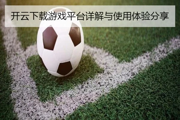 开云下载游戏平台详解与使用体验分享