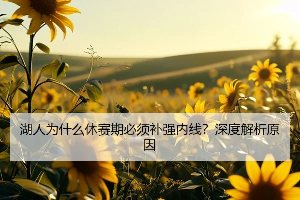 湖人为什么休赛期必须补强内线？深度解析原因